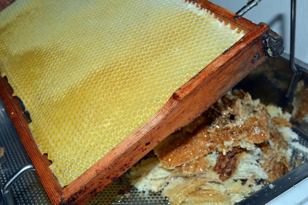 Natuurlijke bijenwas producten als duurzaam alternatief voor synthetische materialen en plastic verpakkingen